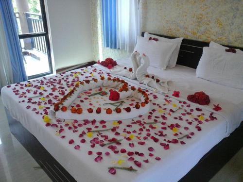 gir forest national park