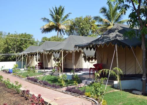 gir forest national park