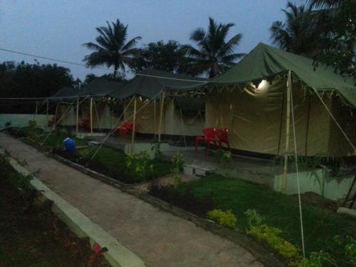 gir forest national park