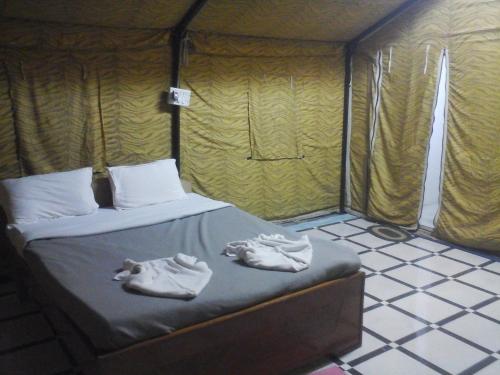 gir forest national park