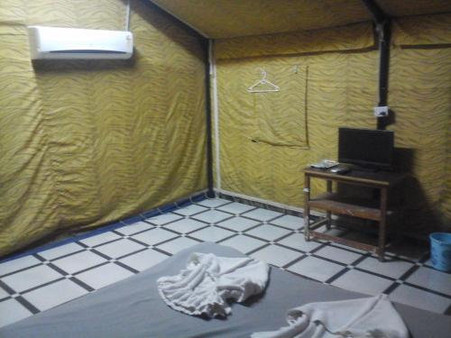 gir forest national park