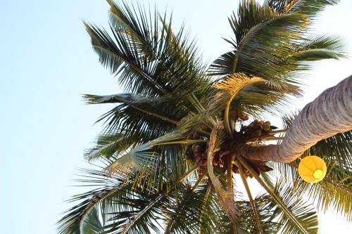 goa