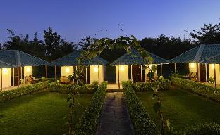 ranthambhore heritage haveli
