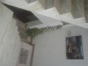 raj mahal guest house