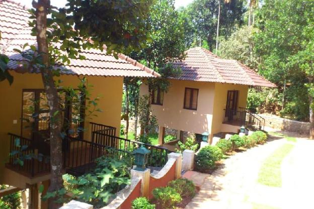 rippon mount resorts