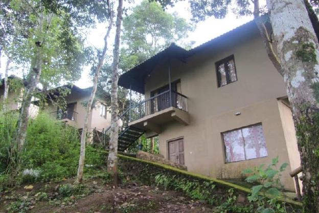 rippon mount resorts