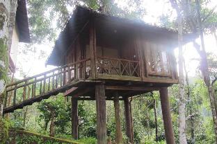 rippon mount resorts