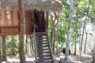 rippon mount resorts