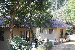 rippon mount resorts