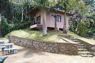 rippon mount resorts