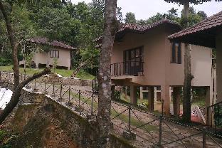 rippon mount resorts