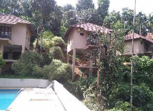 rippon mount resorts