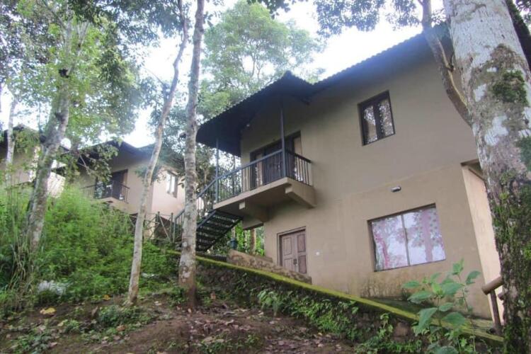 rippon mount resorts