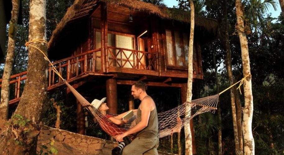 rippon mount resorts