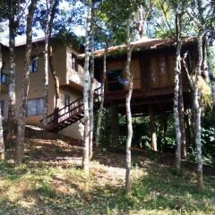 rippon mount resorts