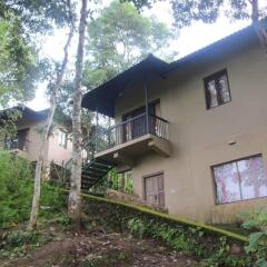 rippon mount resorts