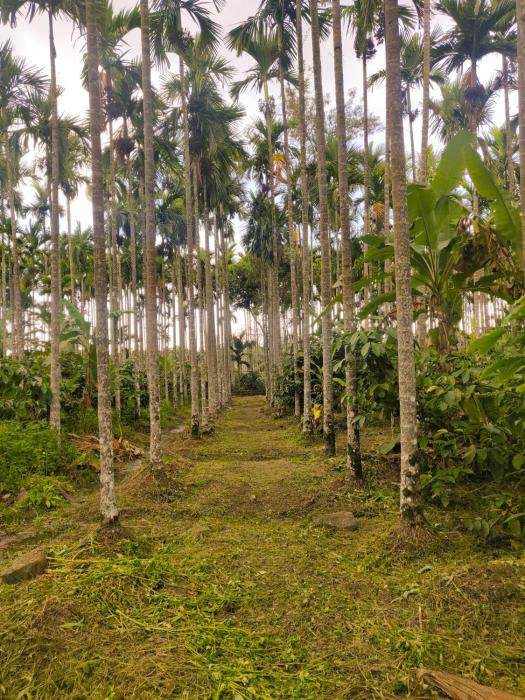 nanjarayapatna