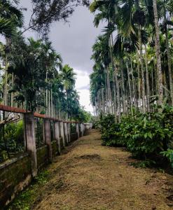 nanjarayapatna