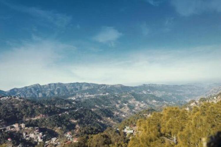 solan