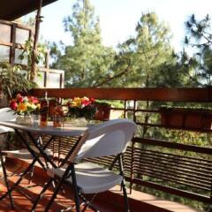 solan