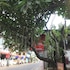 hotel bom sucesso candolim beach