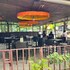 hotel bom sucesso candolim beach