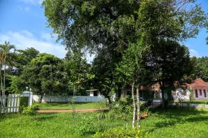 Akkara Homestay,Perumbaikad>>Kottayam,3 star