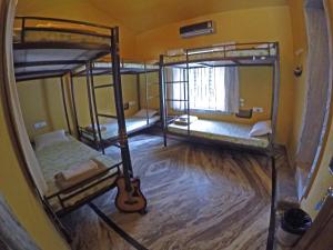 jungle by sturmfrei vagator