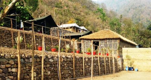 cradle of life camp
