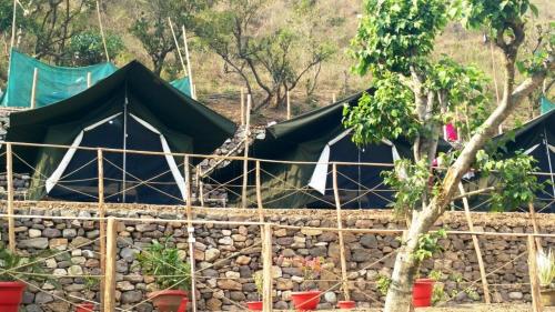 cradle of life camp