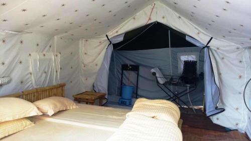 cradle of life camp