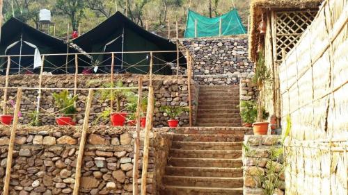 cradle of life camp
