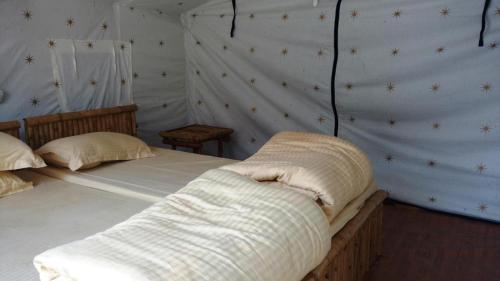 cradle of life camp