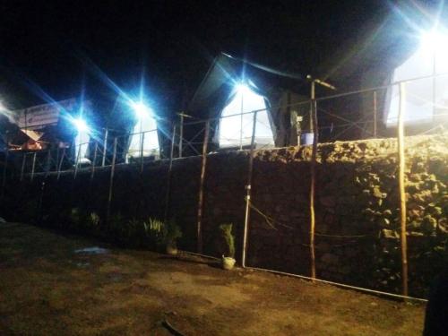 cradle of life camp