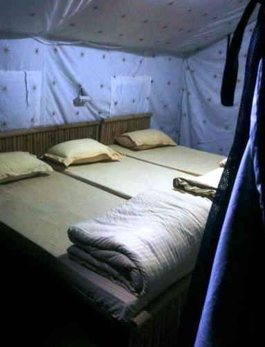 cradle of life camp