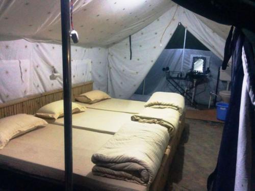 cradle of life camp