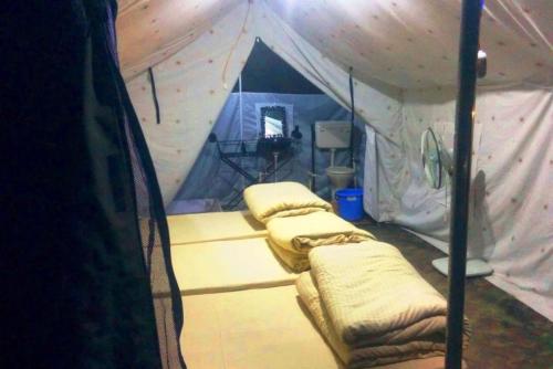 cradle of life camp