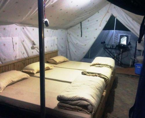 cradle of life camp