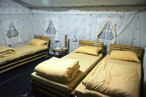cradle of life camp