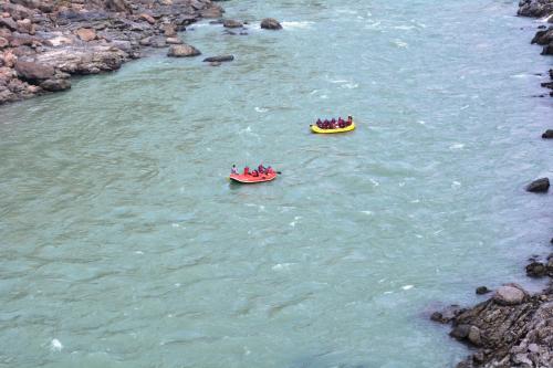 cradle of life camp