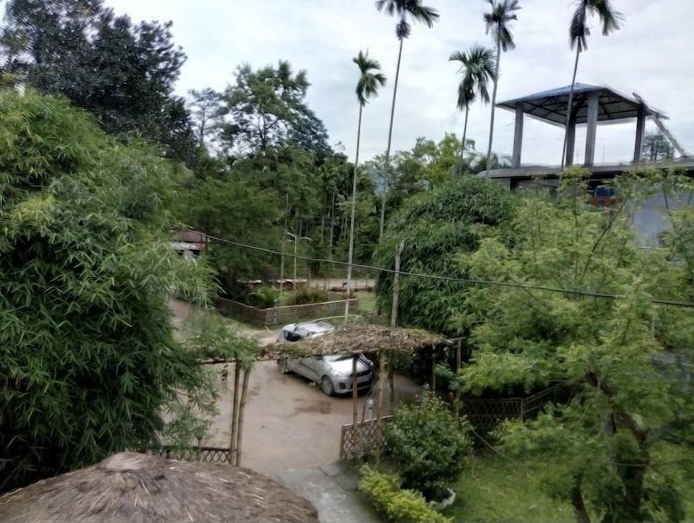 kaziranga