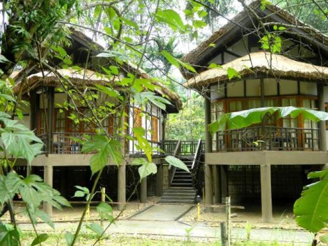 kaziranga