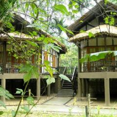 kaziranga