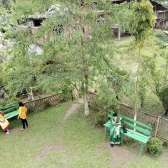 kaziranga