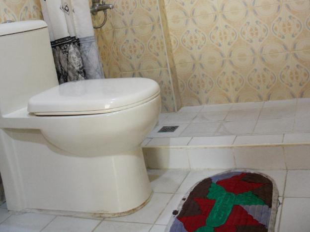 dumaguete springs apartment