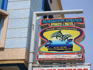 dumaguete springs apartment