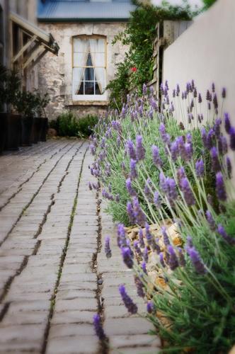the customs house port macdonnell