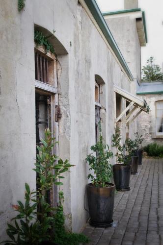 the customs house port macdonnell
