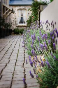 the customs house port macdonnell