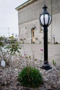 the customs house port macdonnell